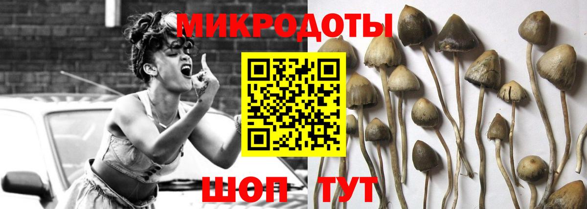 Псилоцибиновые грибы прущие грибы  Вход с VPN  Псилоцибиновые грибы Magic Shrooms  Новоуральск 