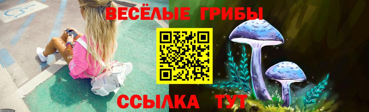Псилоцибиновые грибы Magic Shrooms Новоуральск